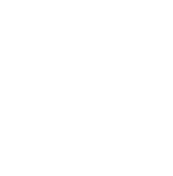 BPP Visual Logo